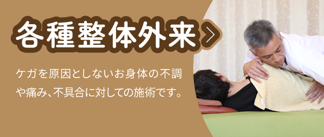 各種整体外来：ケガを原因としないお身体の不調や痛み、不具合に対しての施術です。