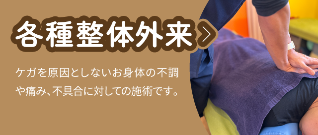 各種整体外来:ケガを原因としないお身体の不調や痛み、不具合に対しての施術です。